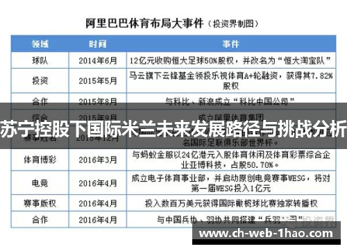苏宁控股下国际米兰未来发展路径与挑战分析