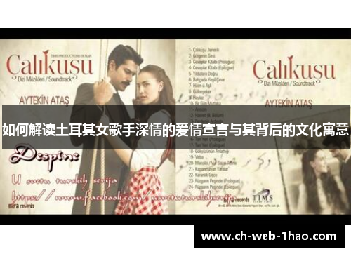 如何解读土耳其女歌手深情的爱情宣言与其背后的文化寓意