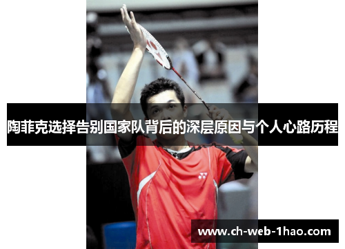 陶菲克选择告别国家队背后的深层原因与个人心路历程