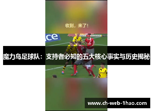 魔力鸟足球队:支持者必知的五大核心事实与历史揭秘 魔力鸟足球队:支持者必知的五大核心事实与历史揭秘